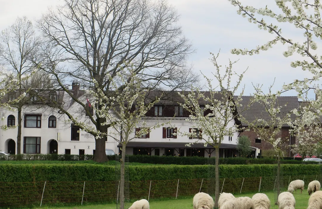 Hotel Restaurant in den Hoof-1